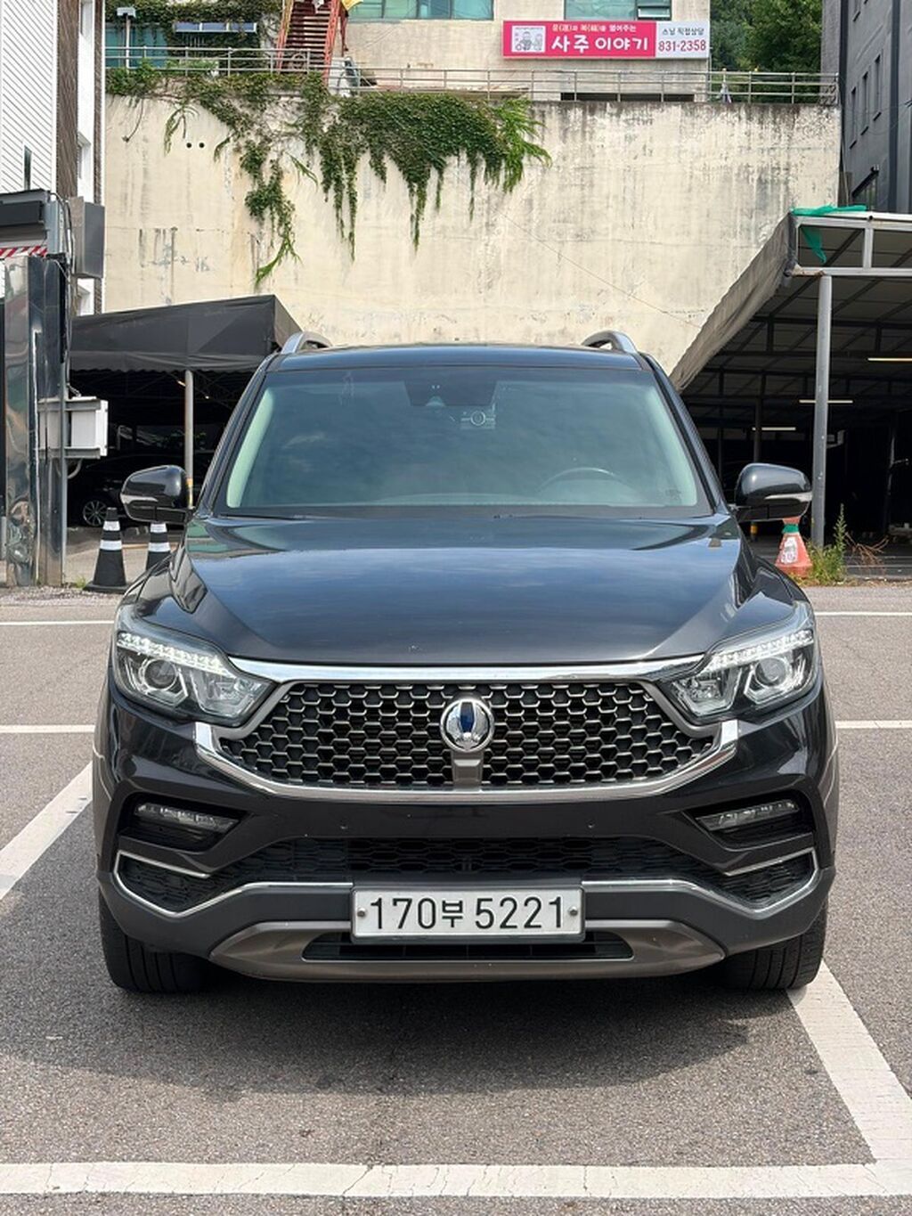 Ssangyong Rexton: 2019 г., Внедорожник: фото 2