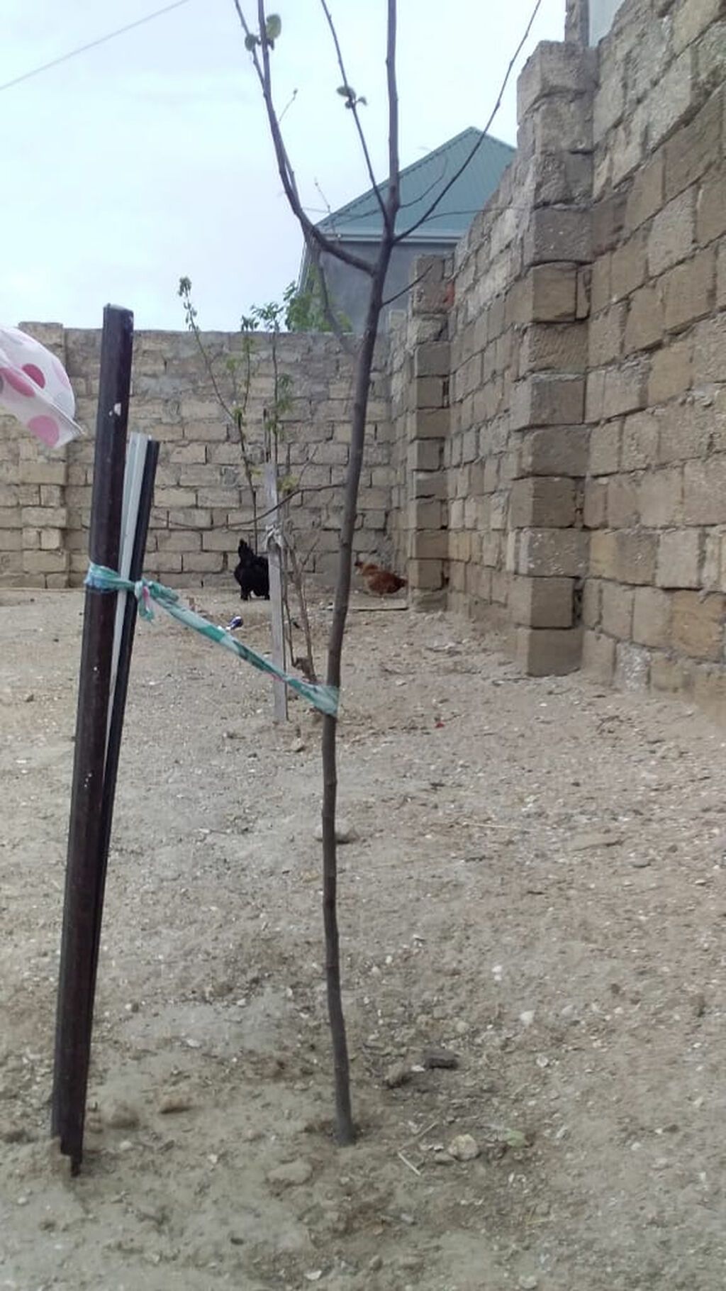 70 kv. m, 2 otaqlı