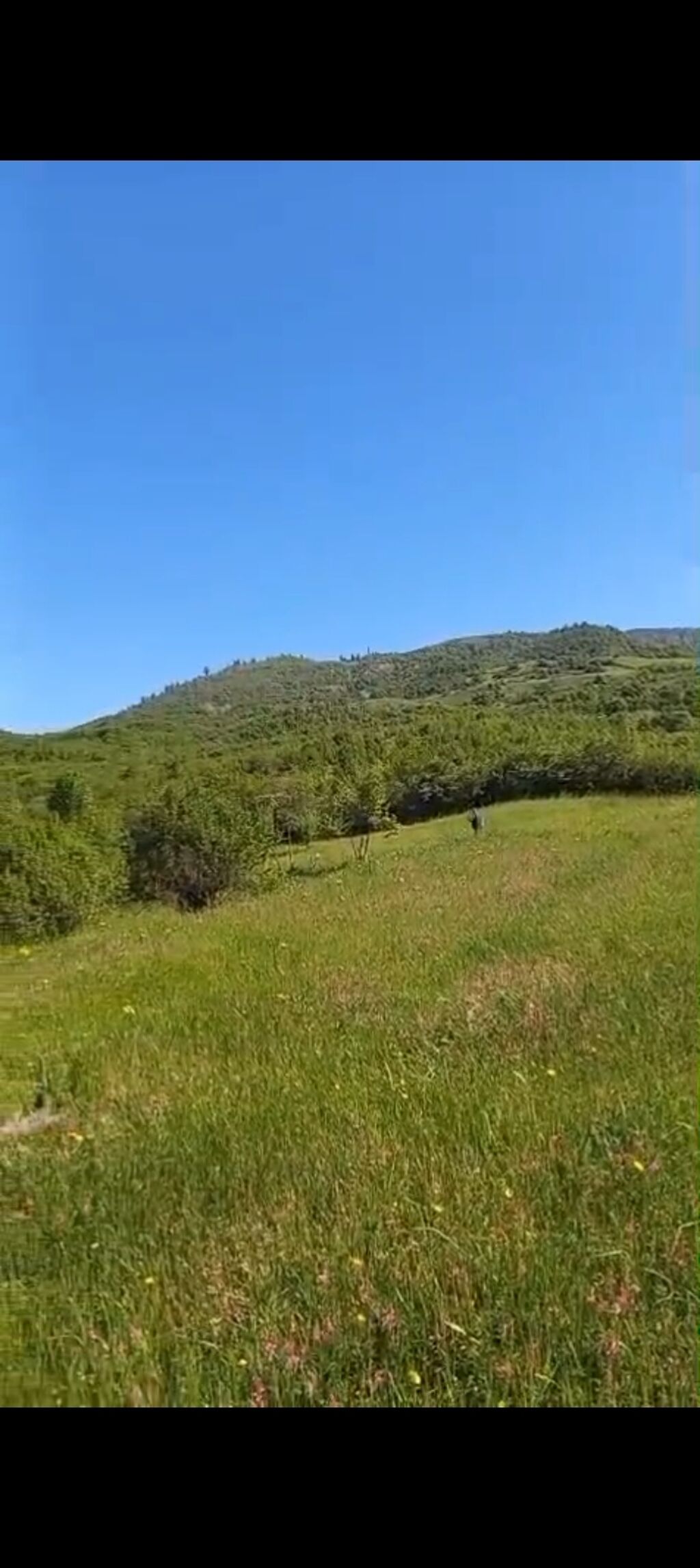 170 sot, Kənd təsərrüfatı, Mülkiyyətçi, Kupça (Çıxarış)