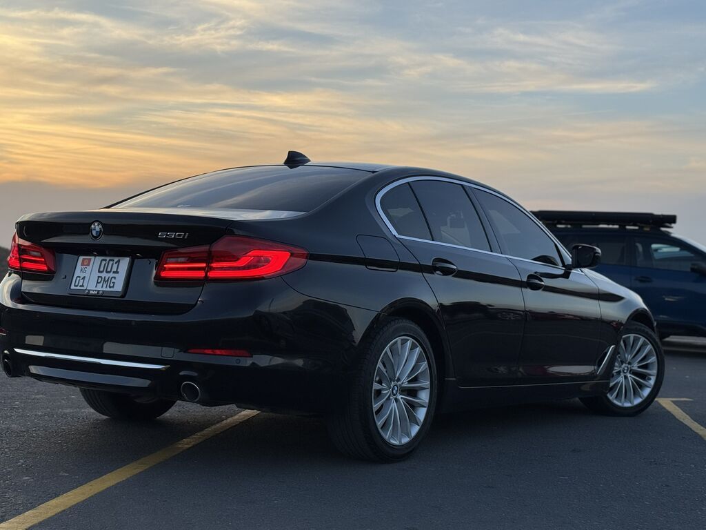 BMW 5 series: 2019 г., 2 л, Автомат, Бензин, Седан: фото 8