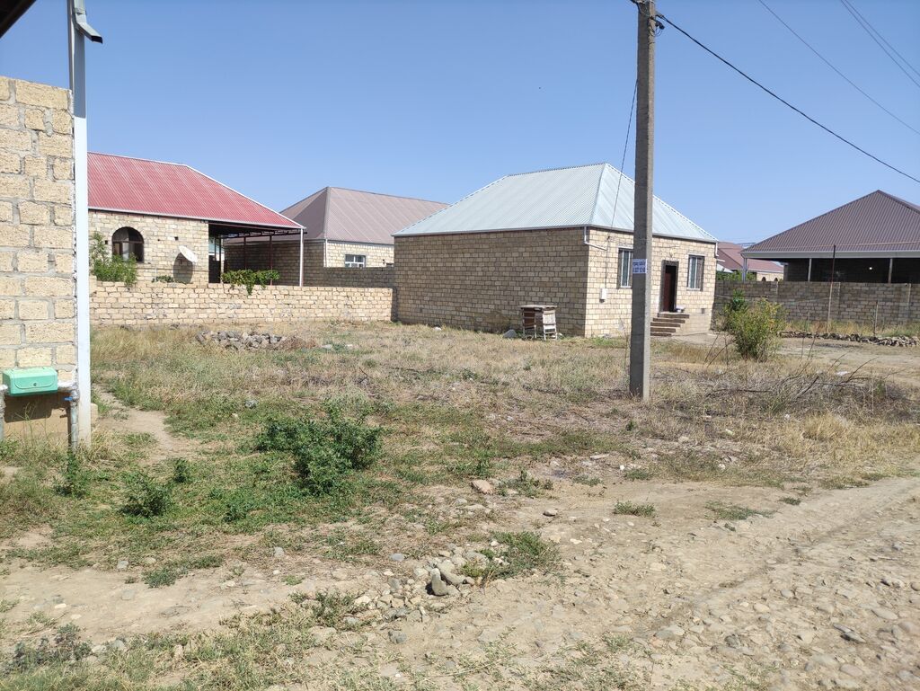 Tikinti