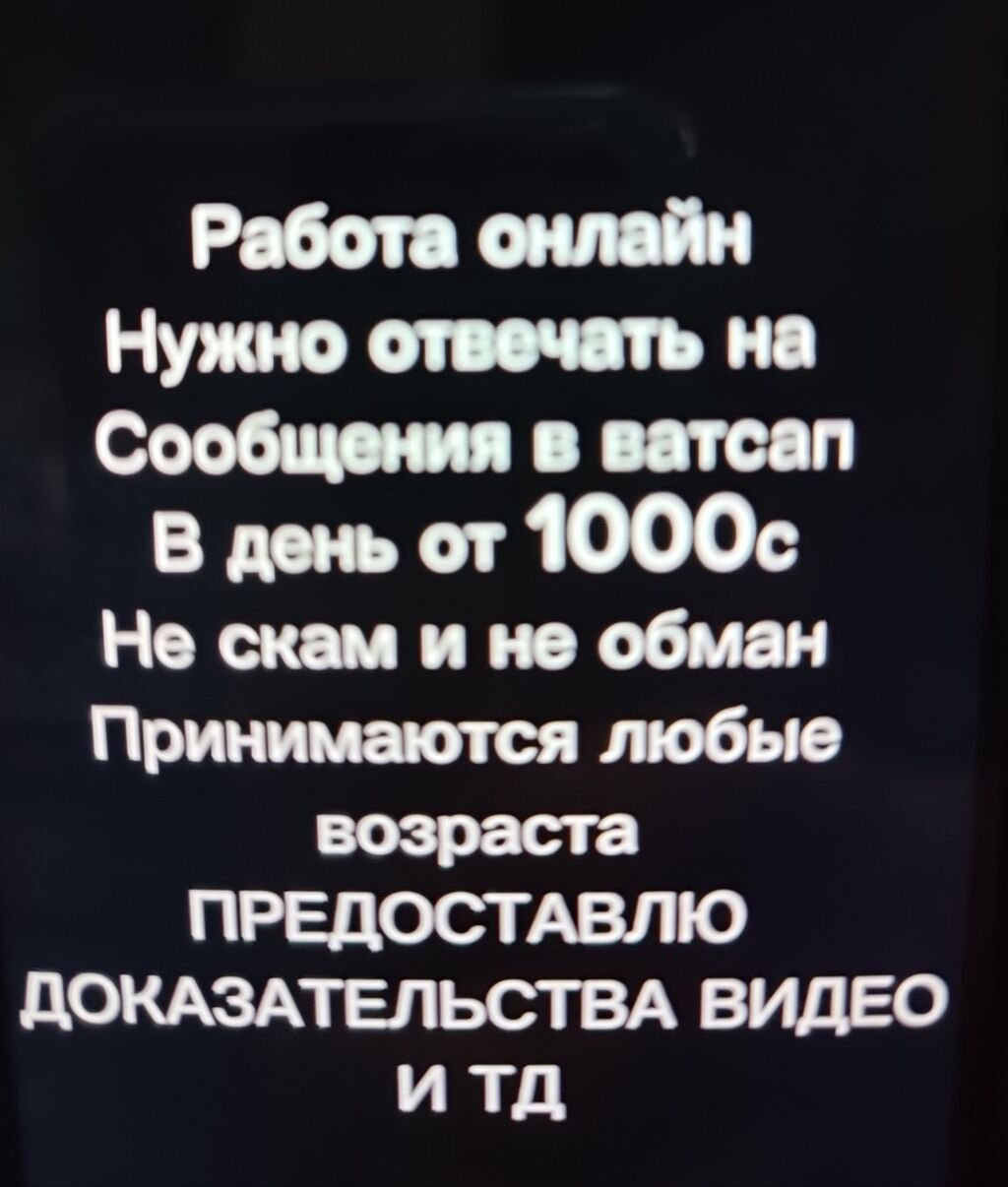 Работа онлайн в Кыргызстане писать в: 2000 KGS ᐈ Другие специальности |  Бишкек | 37303000 ➤ lalafo.kg