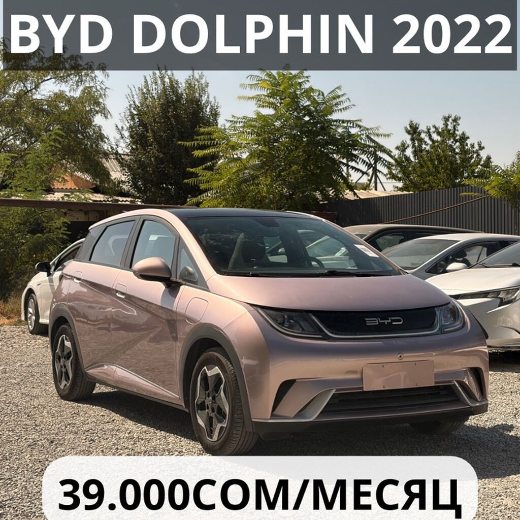 BYD Dolphin: 2022 г., 0.1 л, Автомат, Электромобиль, Хэтчбэк: фото 2