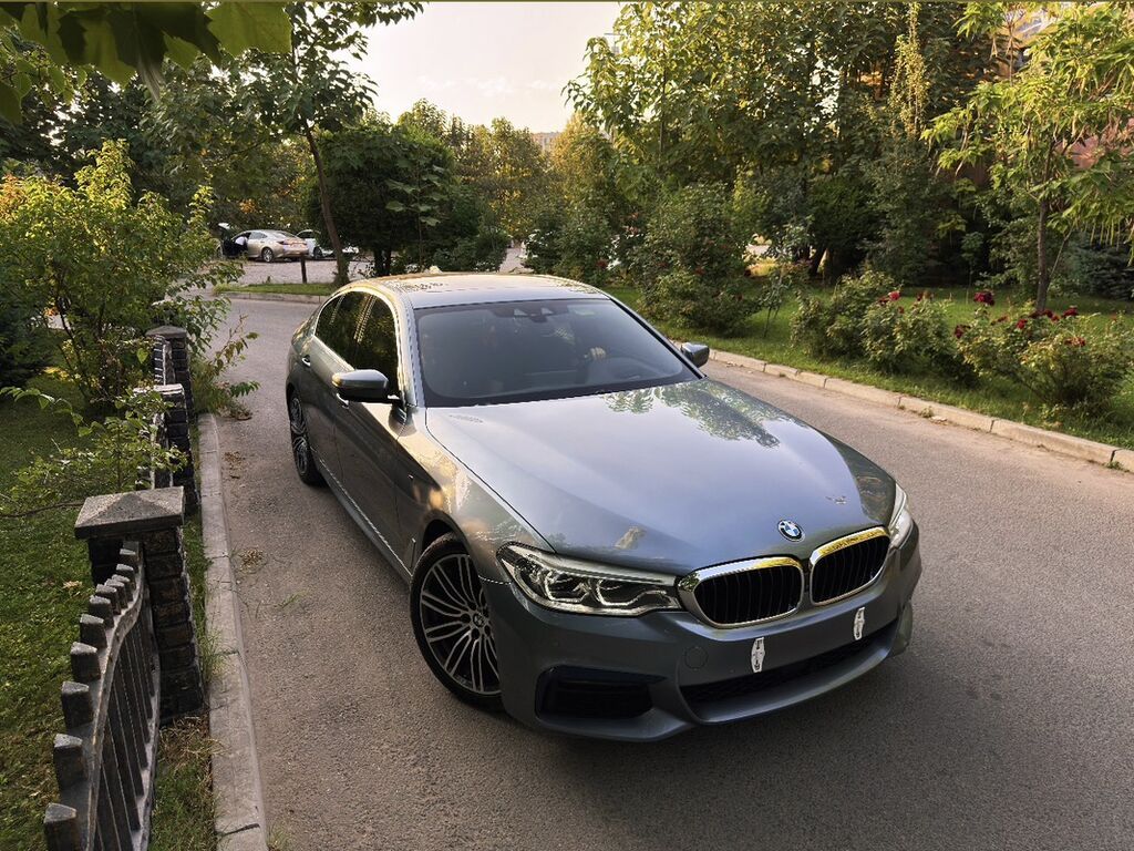 BMW 5 series: 2019 г., 2 л, Автомат, Бензин, Седан: фото 4