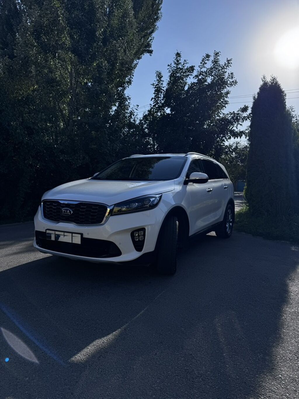 Kia Sorento: 2019 г., 2 л, Автомат, Дизель, Кроссовер: фото 2