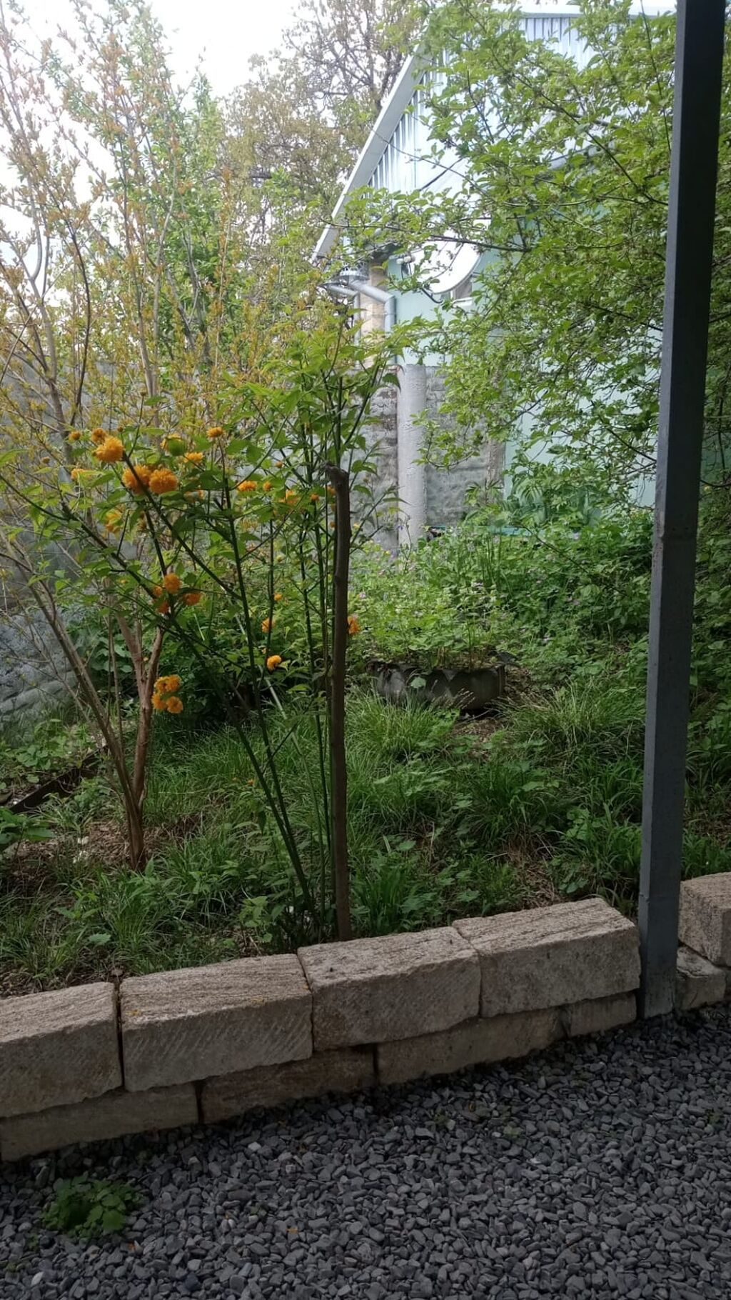 150 kv. m, 4 otaqlı, İnternet, Kombi, Qaz