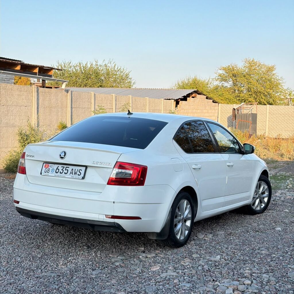 Skoda Octavia: 2017 г., 1.6 л, Автомат, Бензин, Лифтбек: фото 4