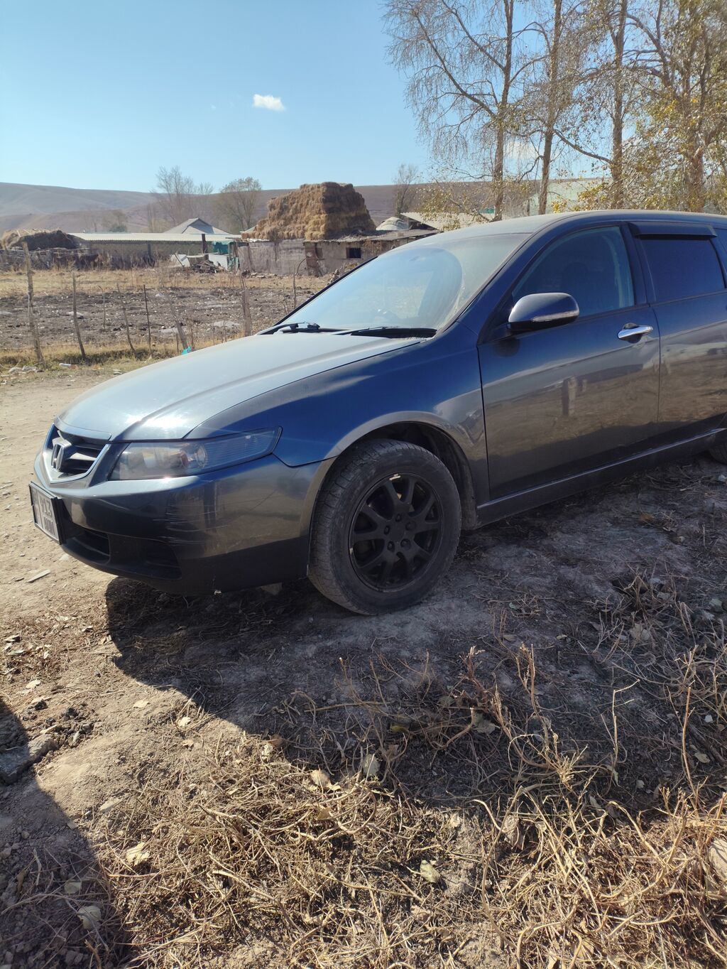 Honda Accord: 2005 г., Автомат, Бензин, Универсал: фото 5