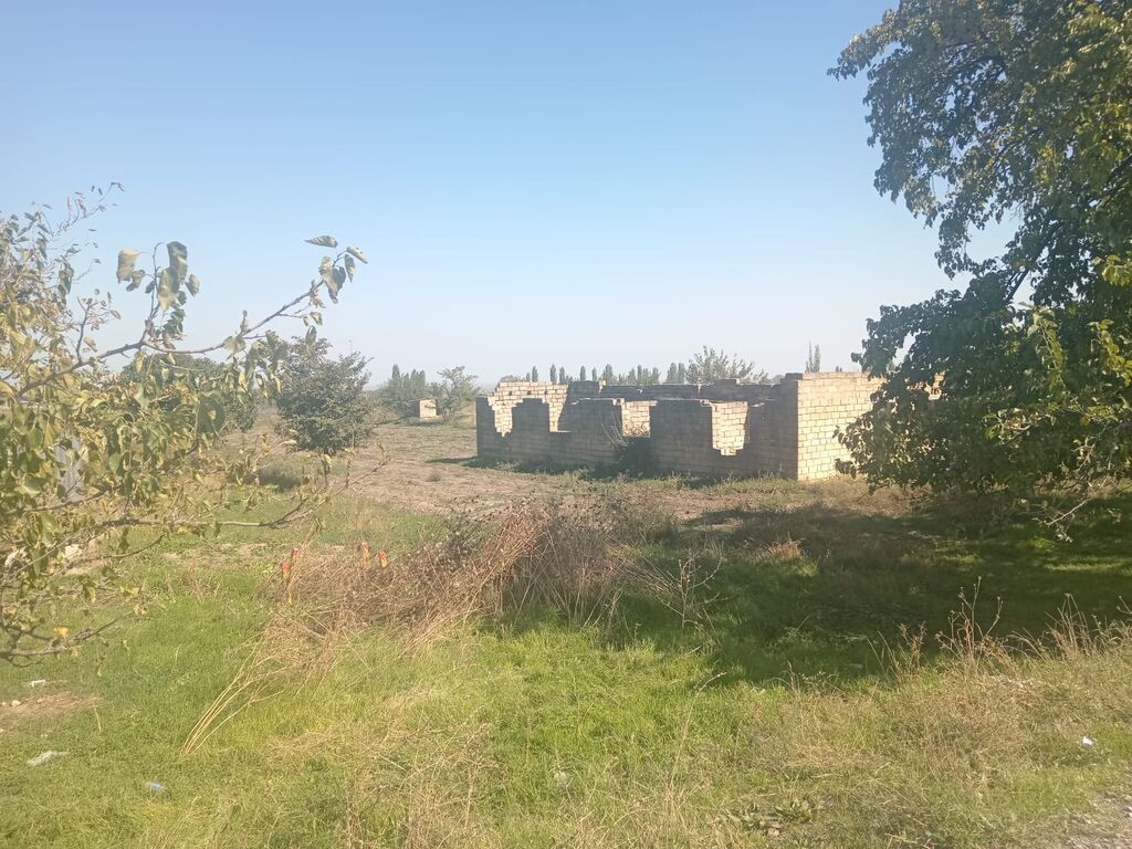 Biznes üçün