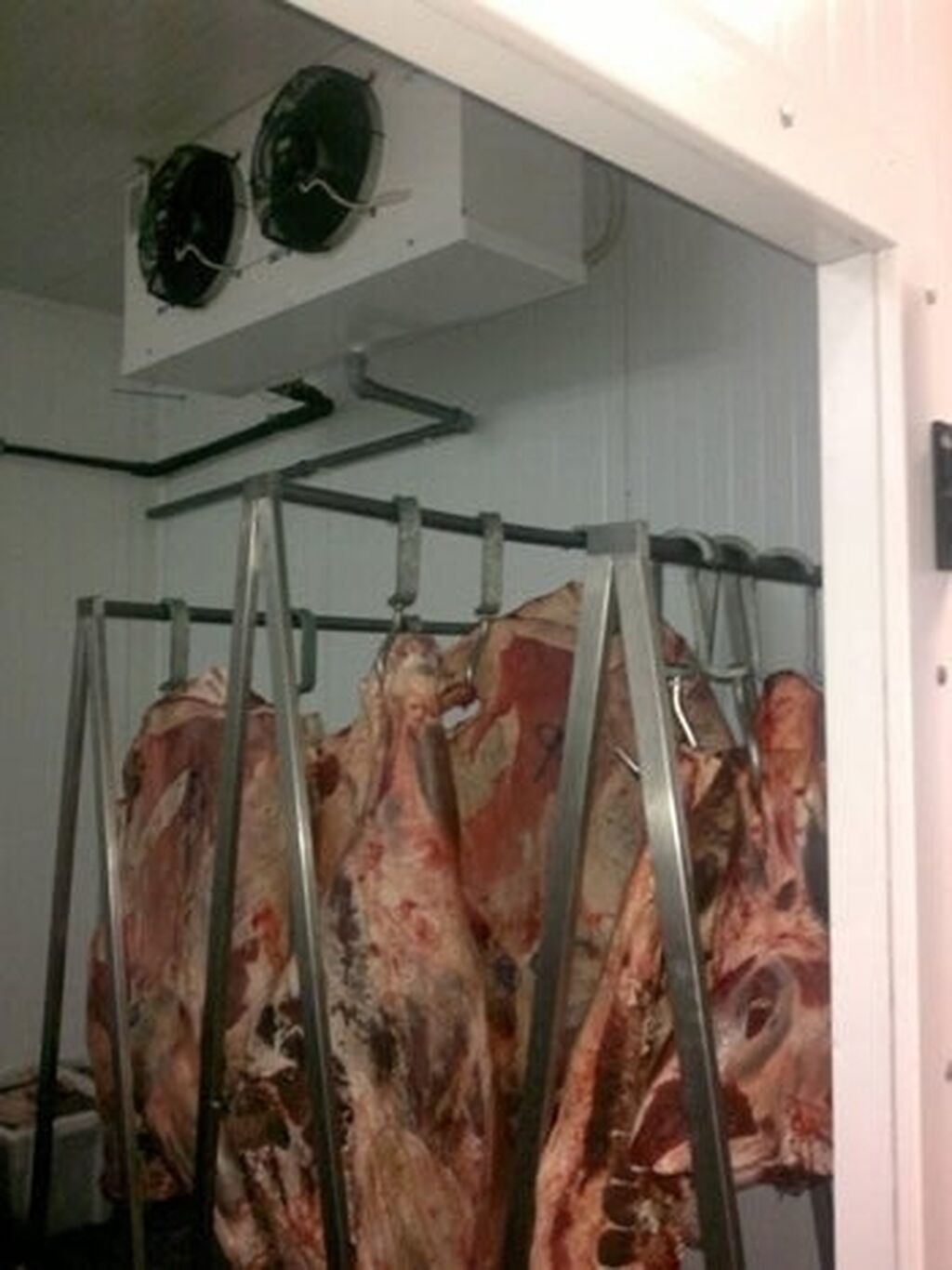 Холодильная камера для мяса