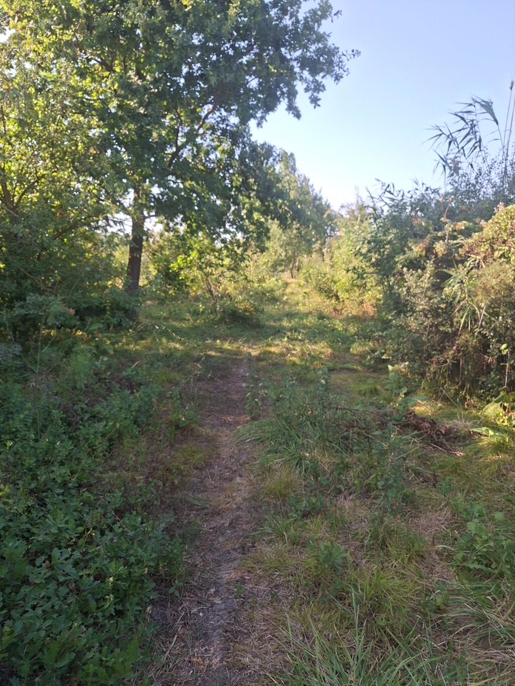 3 otaqlı, 45 kv. m, Təmirsiz