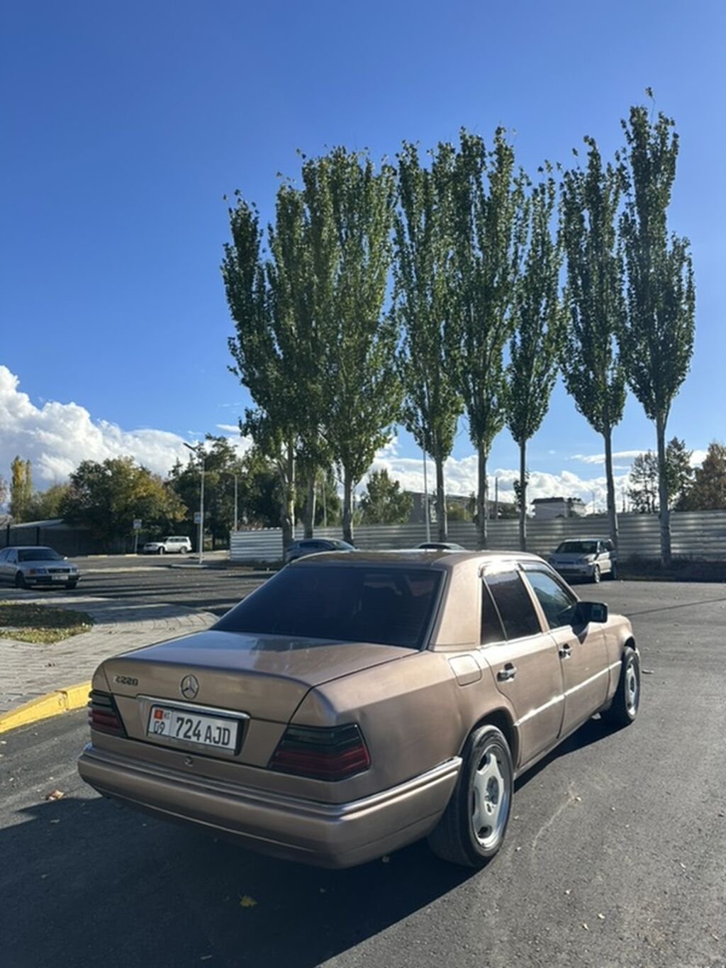 Mercedes-Benz W124: 1993 г., 2.2 л, Автомат, Бензин, Седан: фото 5