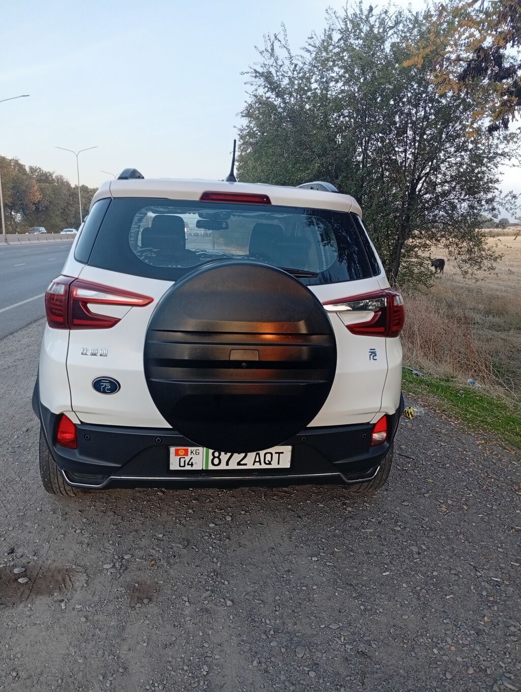 BYD Yuan: 2019 г., 0.1 л, Автомат, Электромобиль, Кроссовер: фото 2