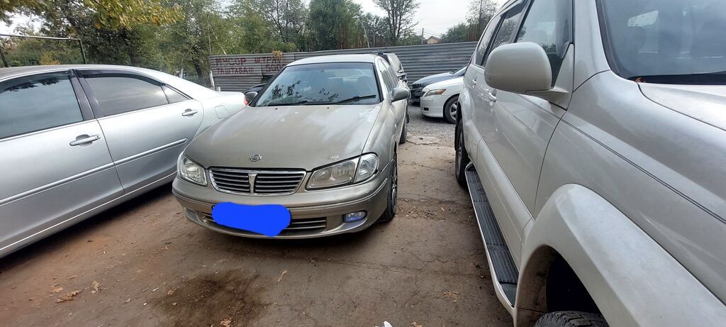 Nissan Sylphy: 2002 г., 1.8 л, Автомат, Бензин, Седан: фото 2