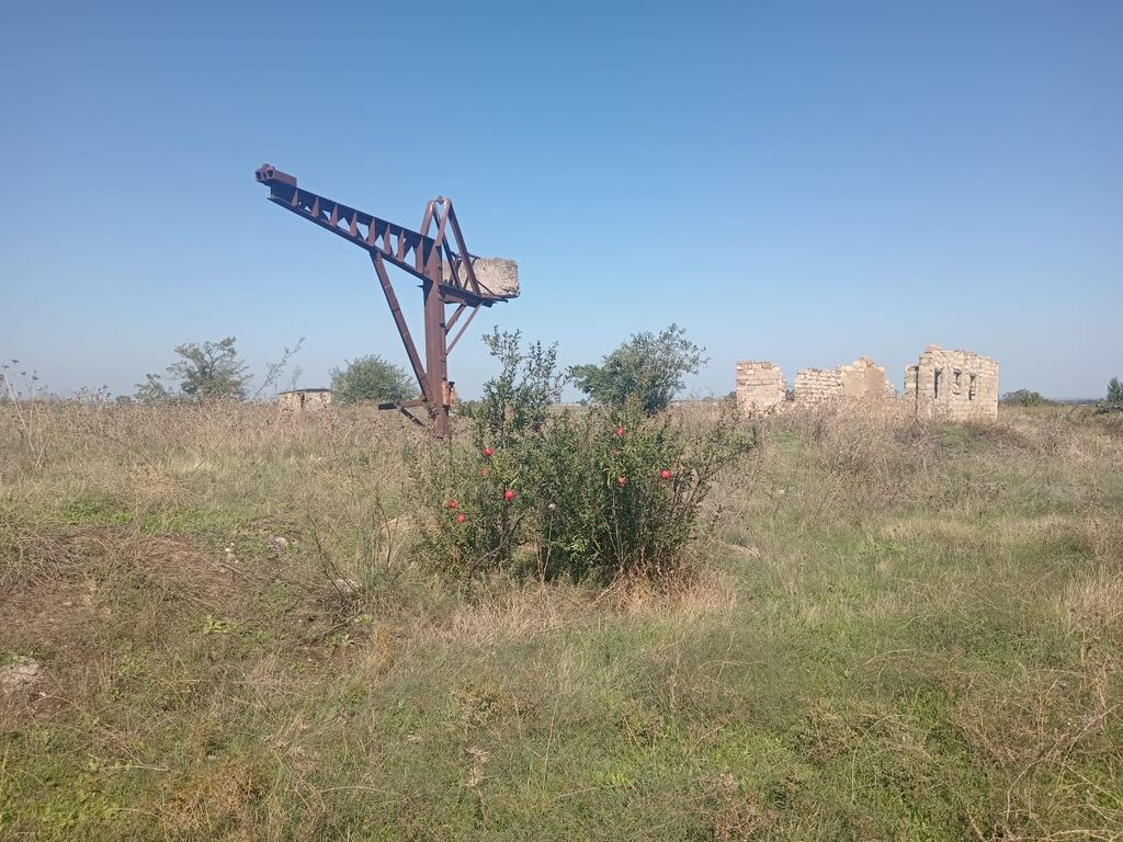 Biznes üçün
