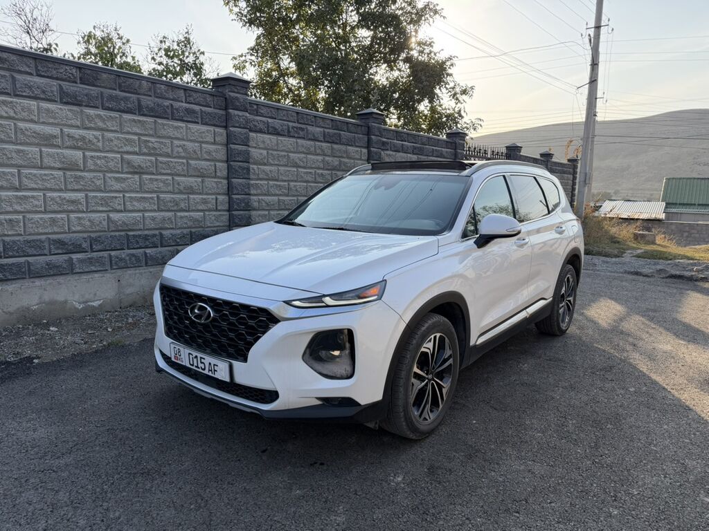 Hyundai Santa Fe: 2018 г., 2 л, Автомат, Бензин, Кроссовер: фото 2
