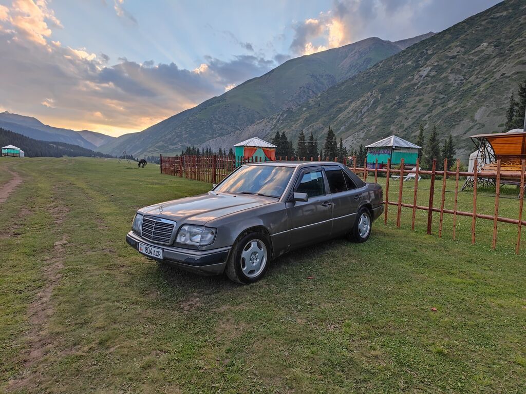 Mercedes-Benz W124: 1993 г., 3.2 л, Механика, Газ, Седан: фото 2