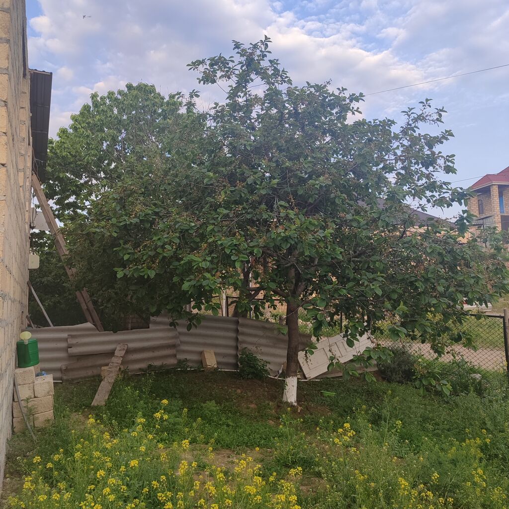 2 otaqlı, 8 kv. m, Kredit yoxdur, Təmirsiz