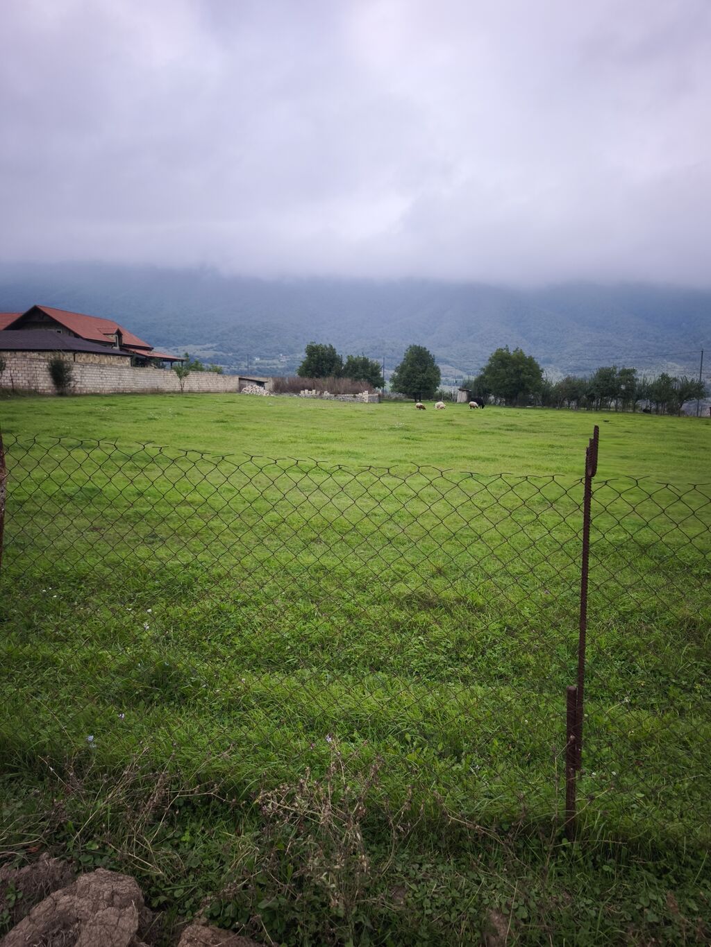17 sot, Kənd təsərrüfatı, Mülkiyyətçi, Kupça (Çıxarış)