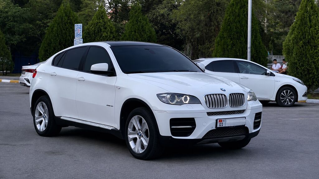 BMW X6: 2008 г., 3 л, Автомат, Бензин: фото 3