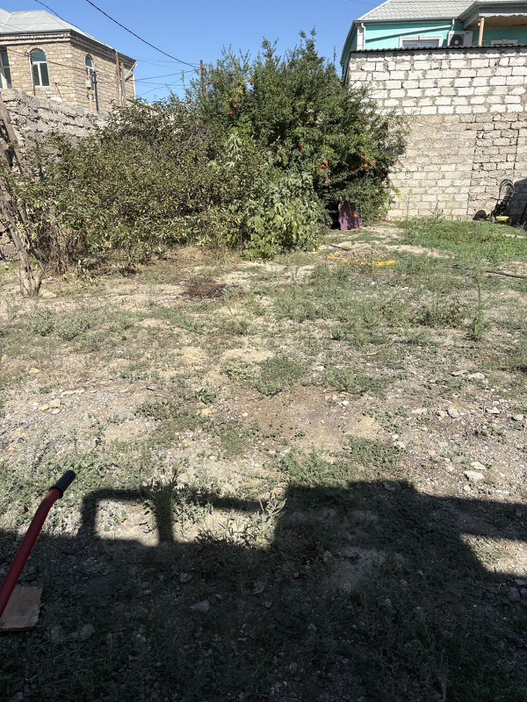 Tikinti