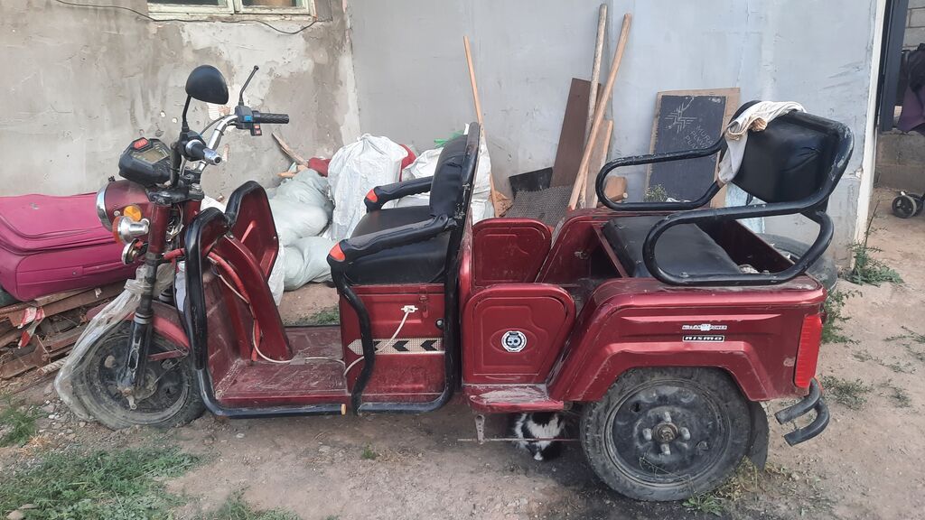 Электрический трицикл (rickshaw/триколёсный скутер) бордового цвета: фото 5