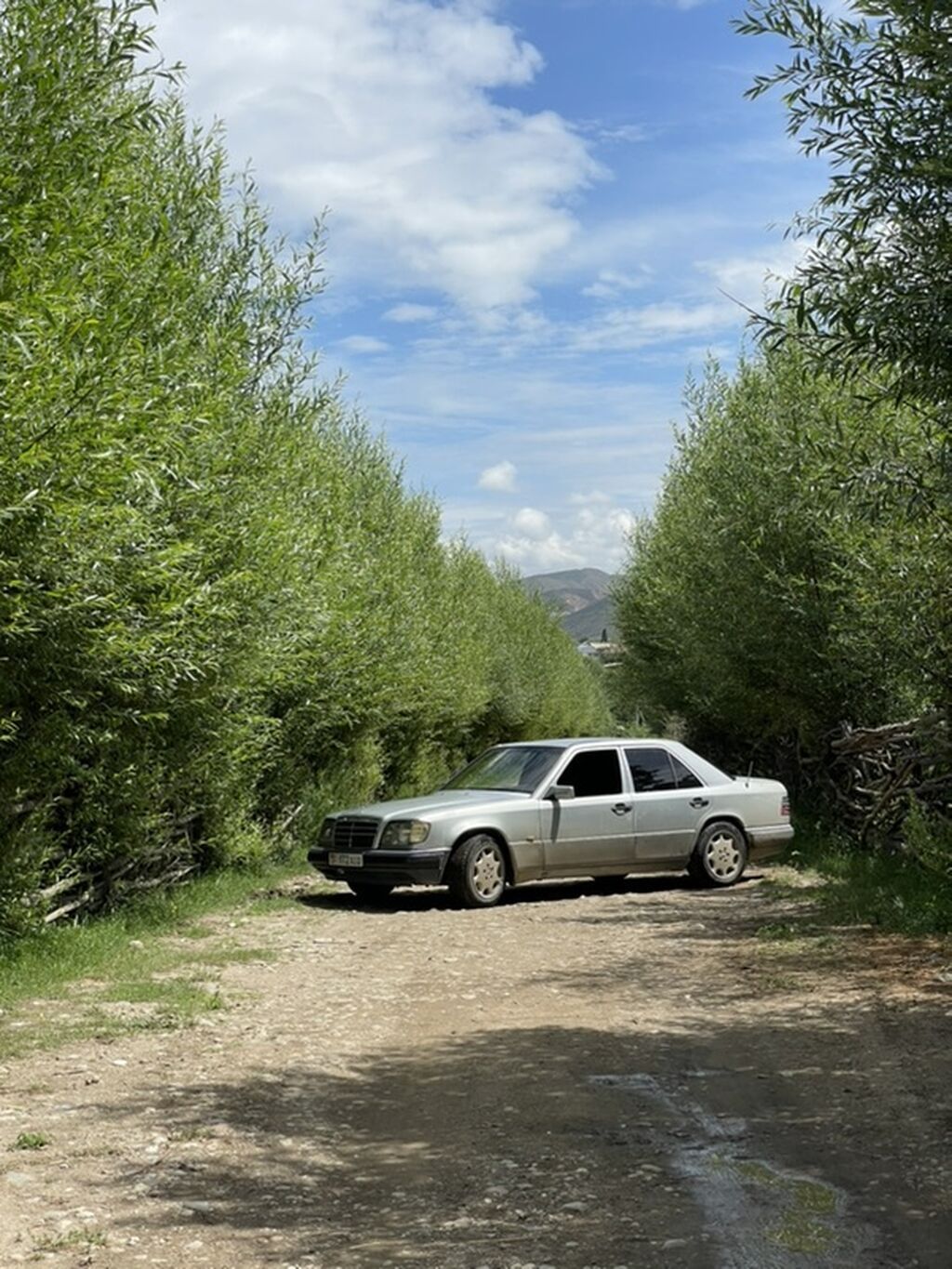 Mercedes-Benz W124: 1995 г., 2.2 л, Механика, Бензин, Седан: фото 2