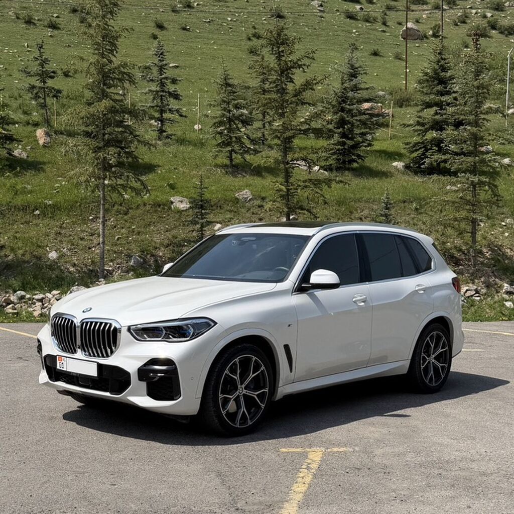 BMW X5: 2023 г., 3 л, Автомат, Бензин, Кроссовер: фото 1