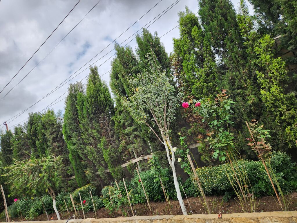 Mehdiabadda 5 otaqlı həyət evi satılır, 184 m², 550 000 AZN, şəkil 5 / 12