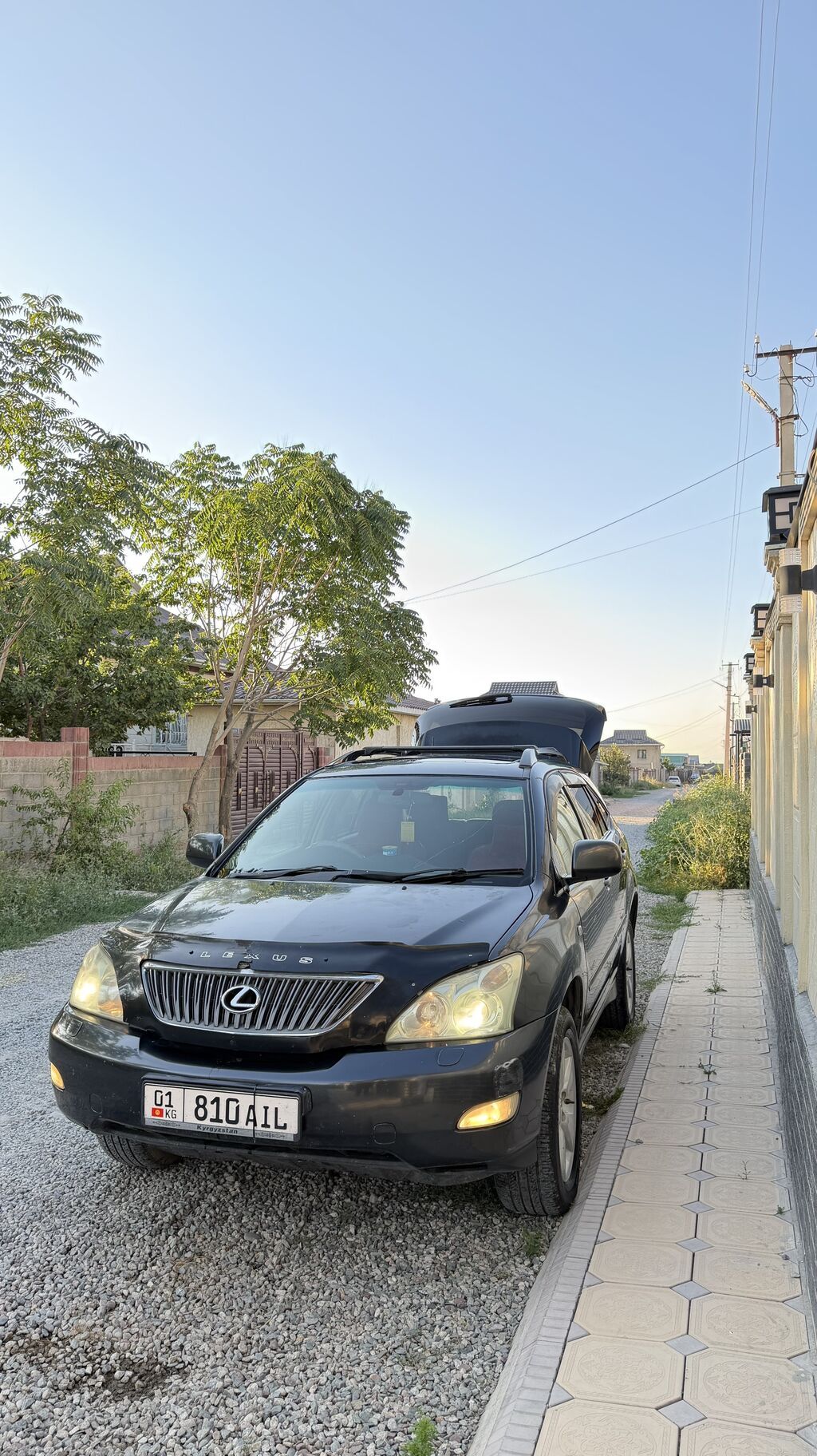 Lexus RX: 2003 г., 3 л, Автомат, Бензин, Кроссовер: фото 3