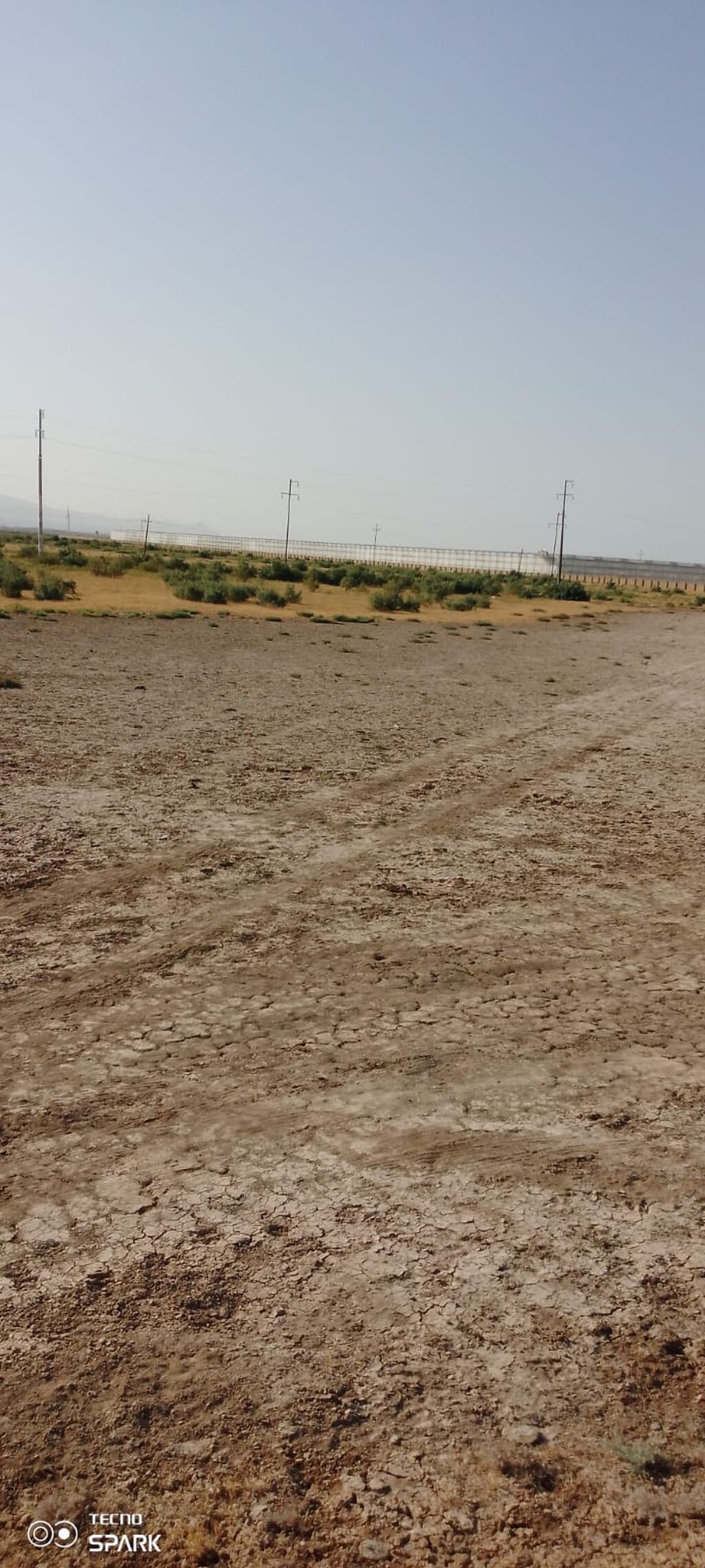 119 sot, Kənd təsərrüfatı, Mülkiyyətçi, Kupça (Çıxarış)