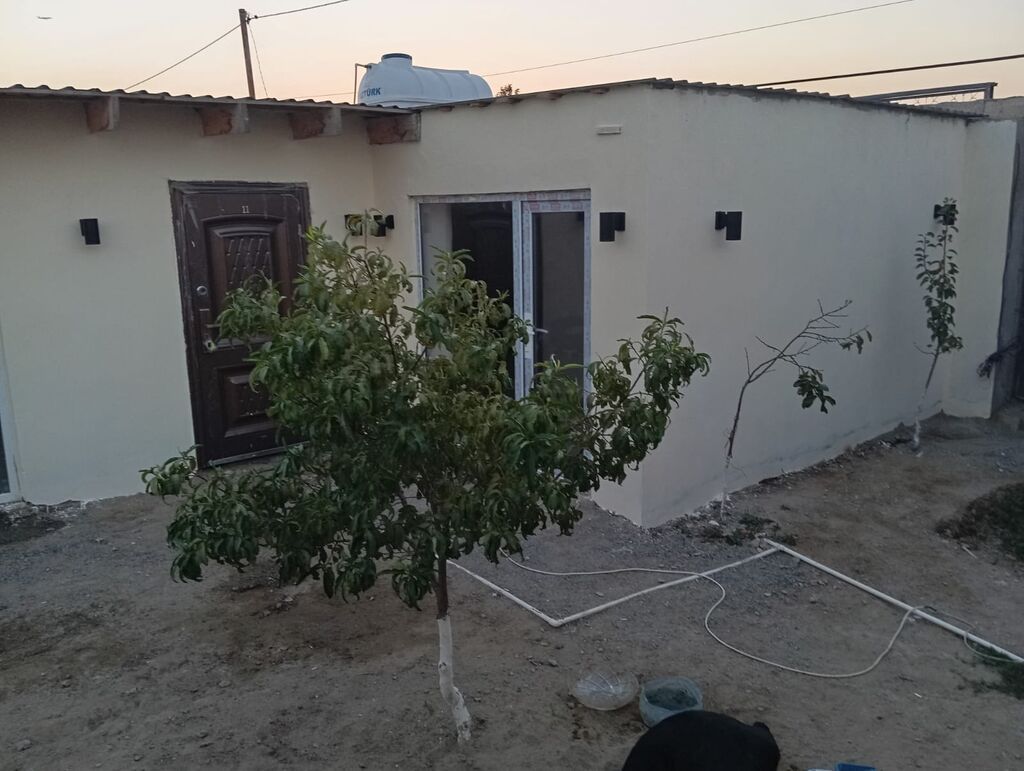 1 mərtəbəli həyət evi - Həyətyanı sahə: meyvə ağacları ilə kiçik bağ