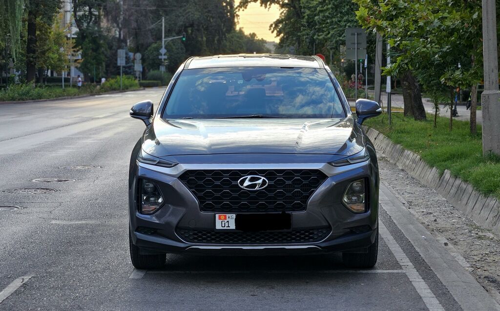 Hyundai Santa Fe: 2018 г., 2 л, Автомат, Дизель, Кроссовер: фото 2