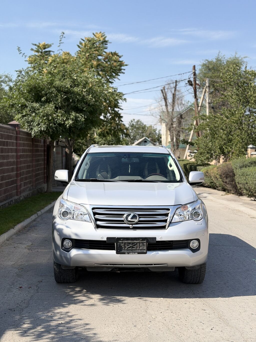 Lexus GX: 2010 г., 4.6 л, Автомат, Бензин, Внедорожник: фото 3