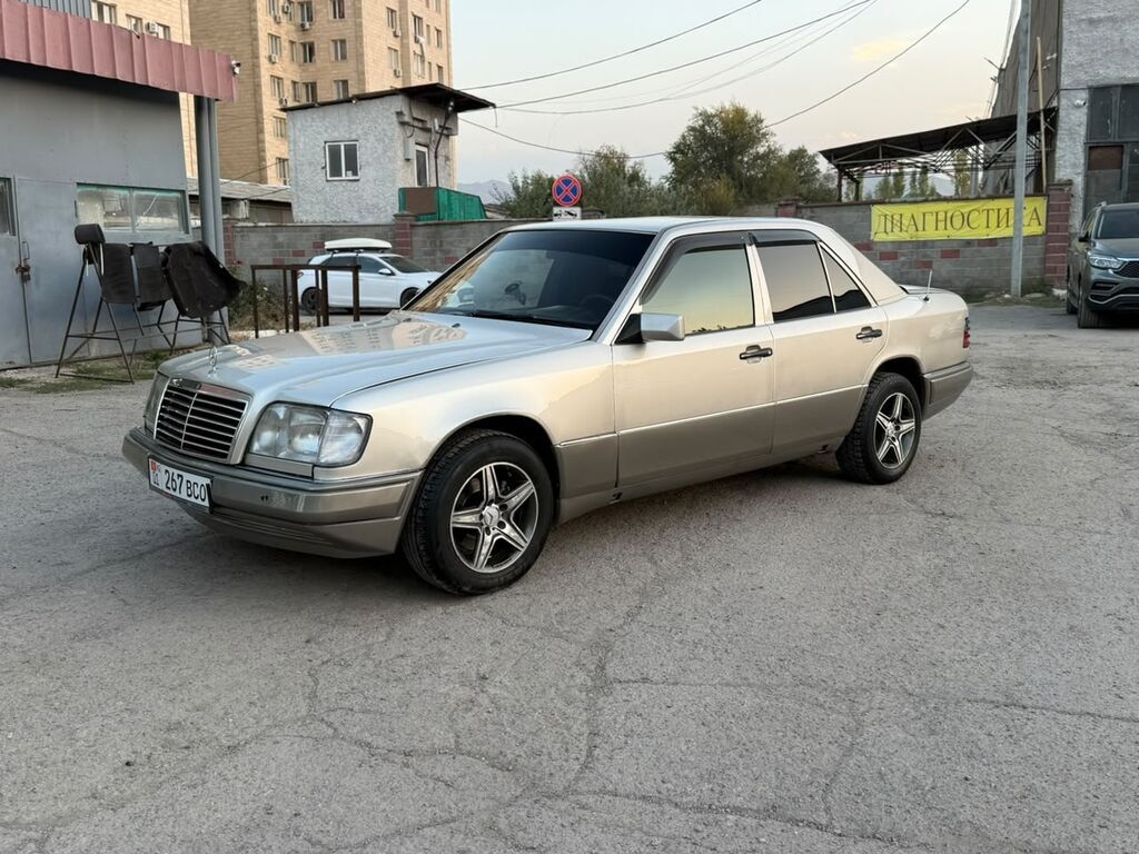 Mercedes-Benz E-Class: 1994 г., 2.2 л, Механика, Бензин, Седан: фото 1