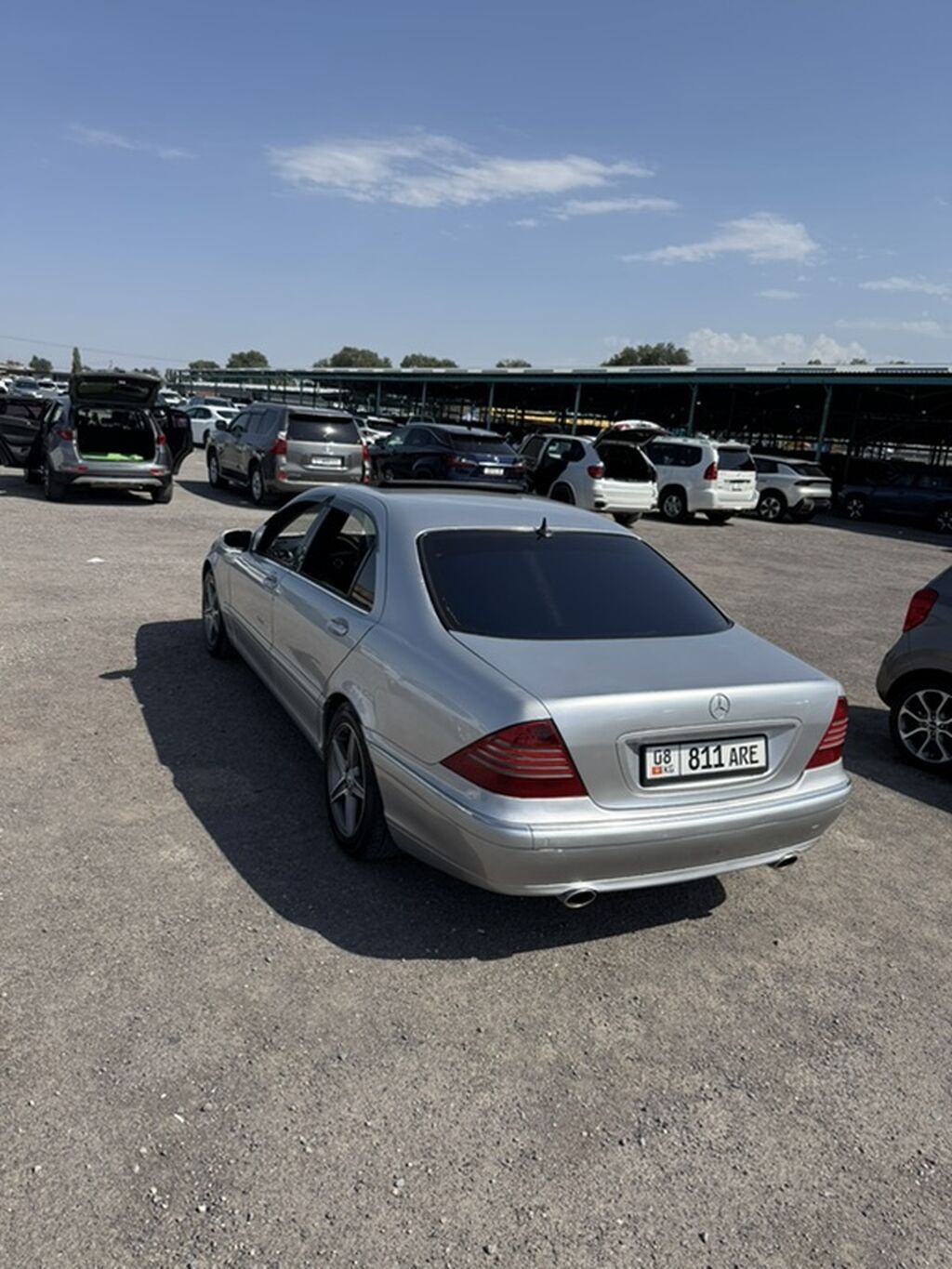 Mercedes-Benz S-Class: 2002 г., 0.5 л, Автомат, Газ, Седан: фото 8