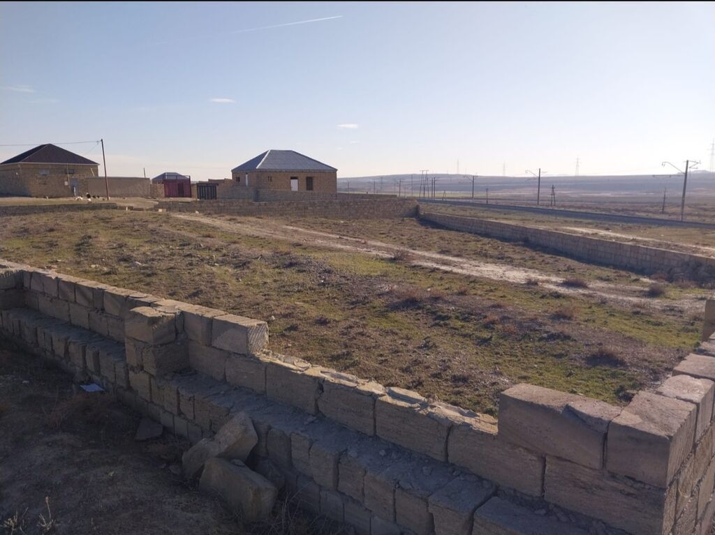 7 sot, Tikinti, Kupça (Çıxarış)