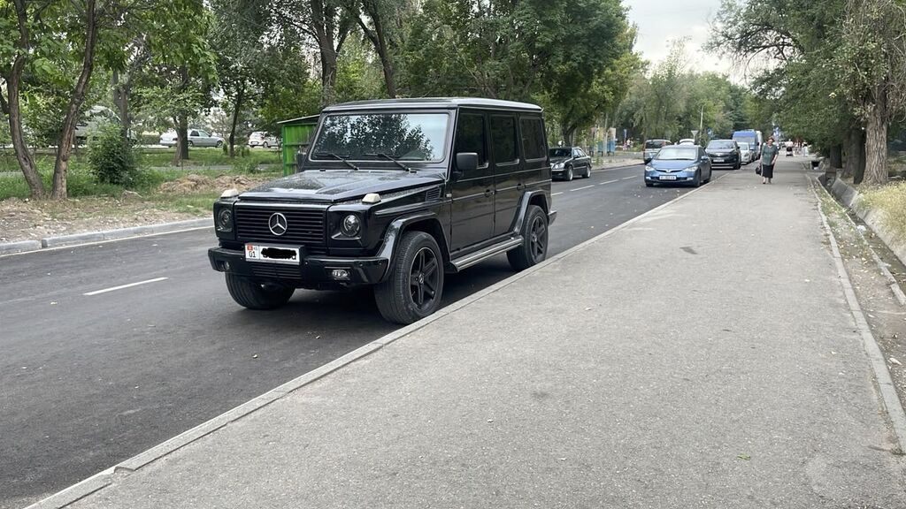Mercedes-Benz G-Class: 1999 г., 5 л, Автомат, Бензин, Внедорожник: фото 1