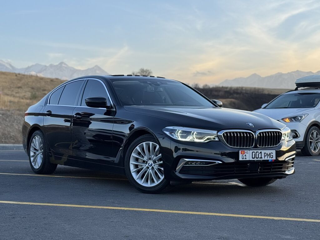 BMW 5 series: 2019 г., 2 л, Автомат, Бензин, Седан: фото 6