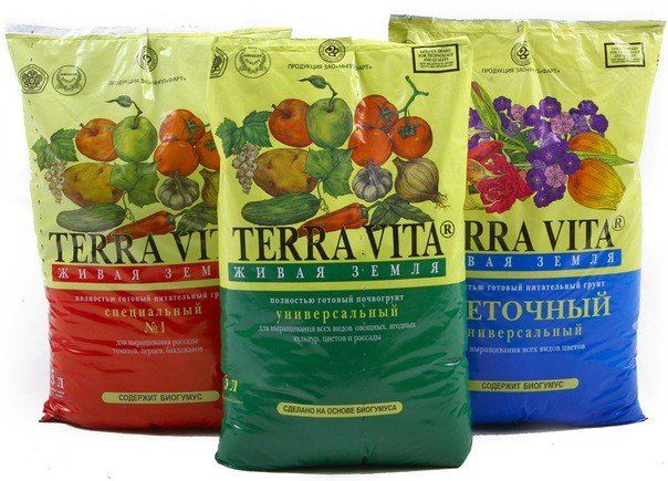 Магазин Семена На Хиросима
