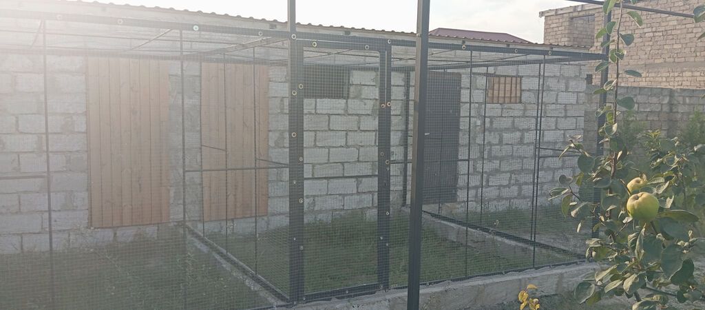 10 sot, Tikinti, Mülkiyyətçi, Kupça (Çıxarış)