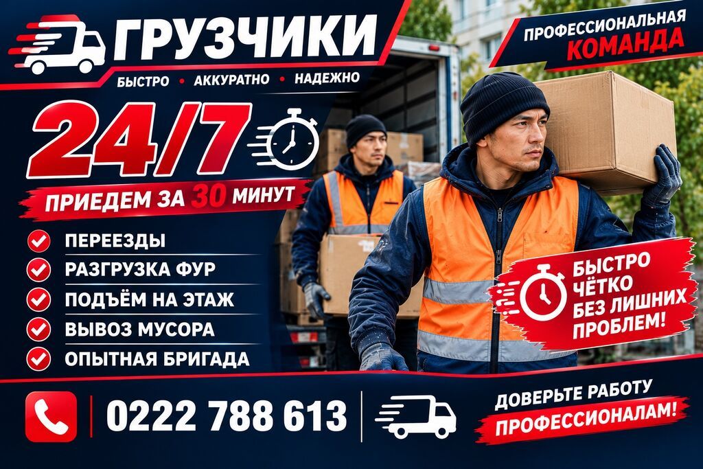 Грузчик. Азия Молл: фото 1