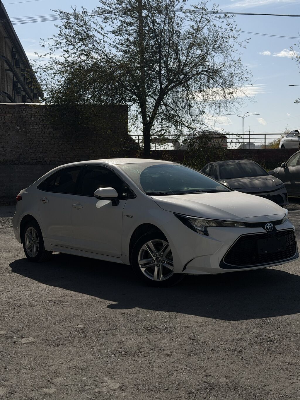 Toyota Levin: 2023 г., 1.8 л, Автомат, Гибрид, Седан: фото 2