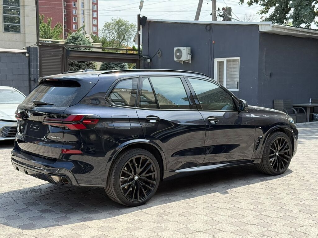 BMW X5: 2023 г., 3 л, Автомат, Бензин, Кроссовер: фото 4