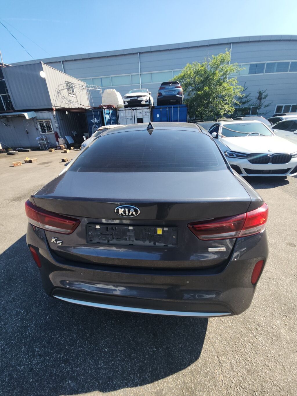 Kia K5: 2019 г., 2 л, Автомат, Гибрид, Седан — фото 5