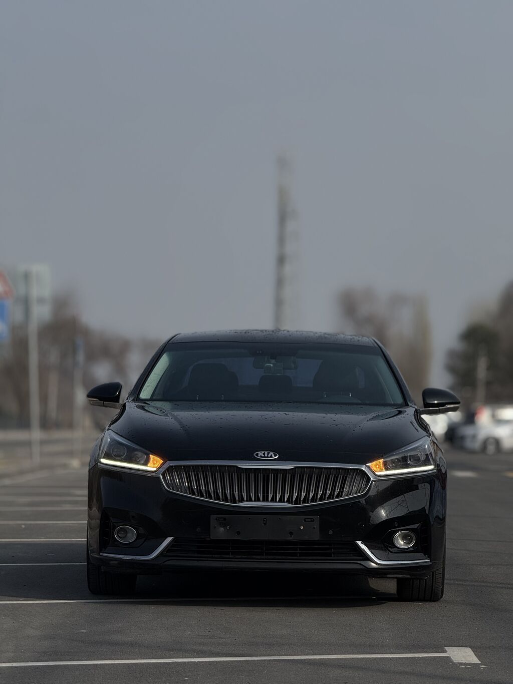 Фото 2
