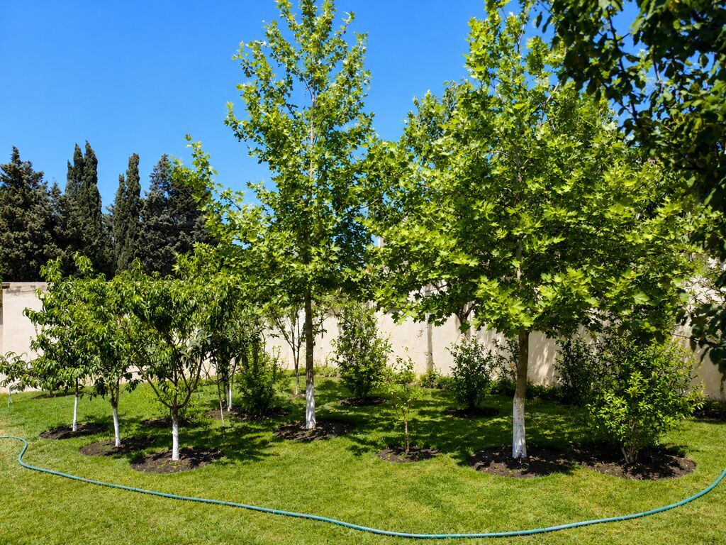 🏡 PİRŞAĞIDA HƏM YAŞAYIŞ, HƏM DƏ GƏLİR GƏTİRƏN EV! 💰 İLLİK