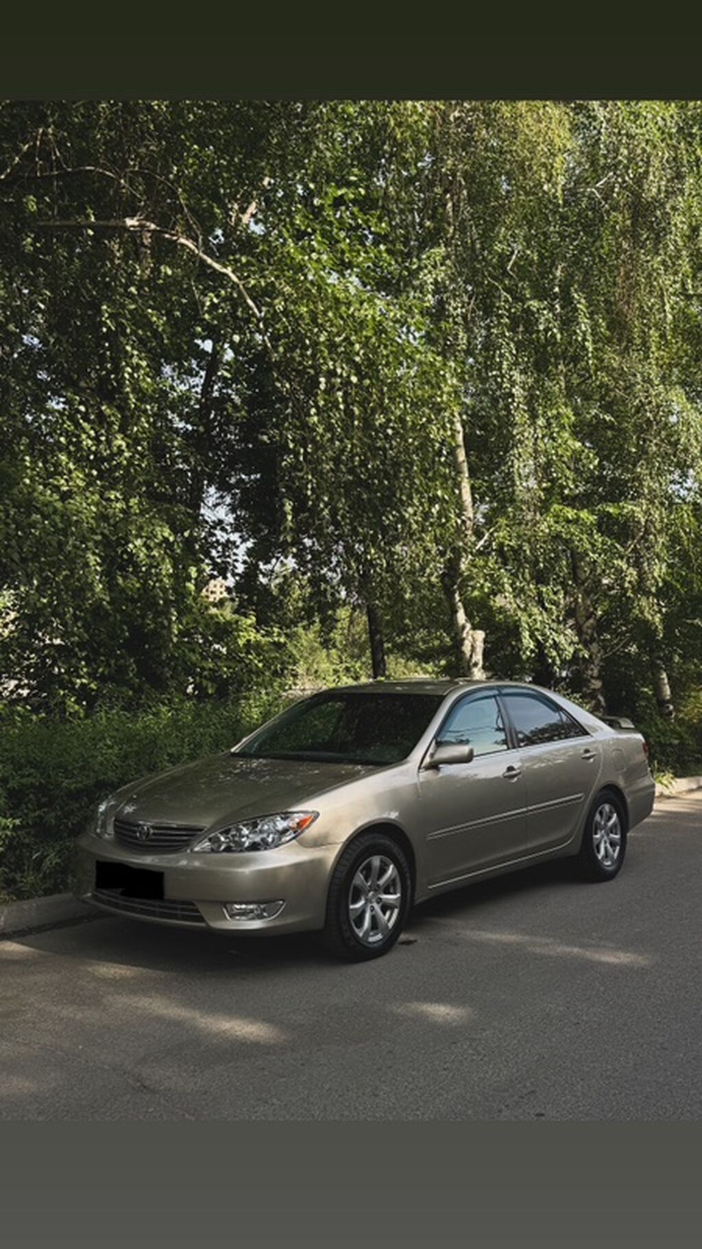 Toyota Camry: 2005 г., 2.4 л, Автомат, Бензин, Седан: фото 1