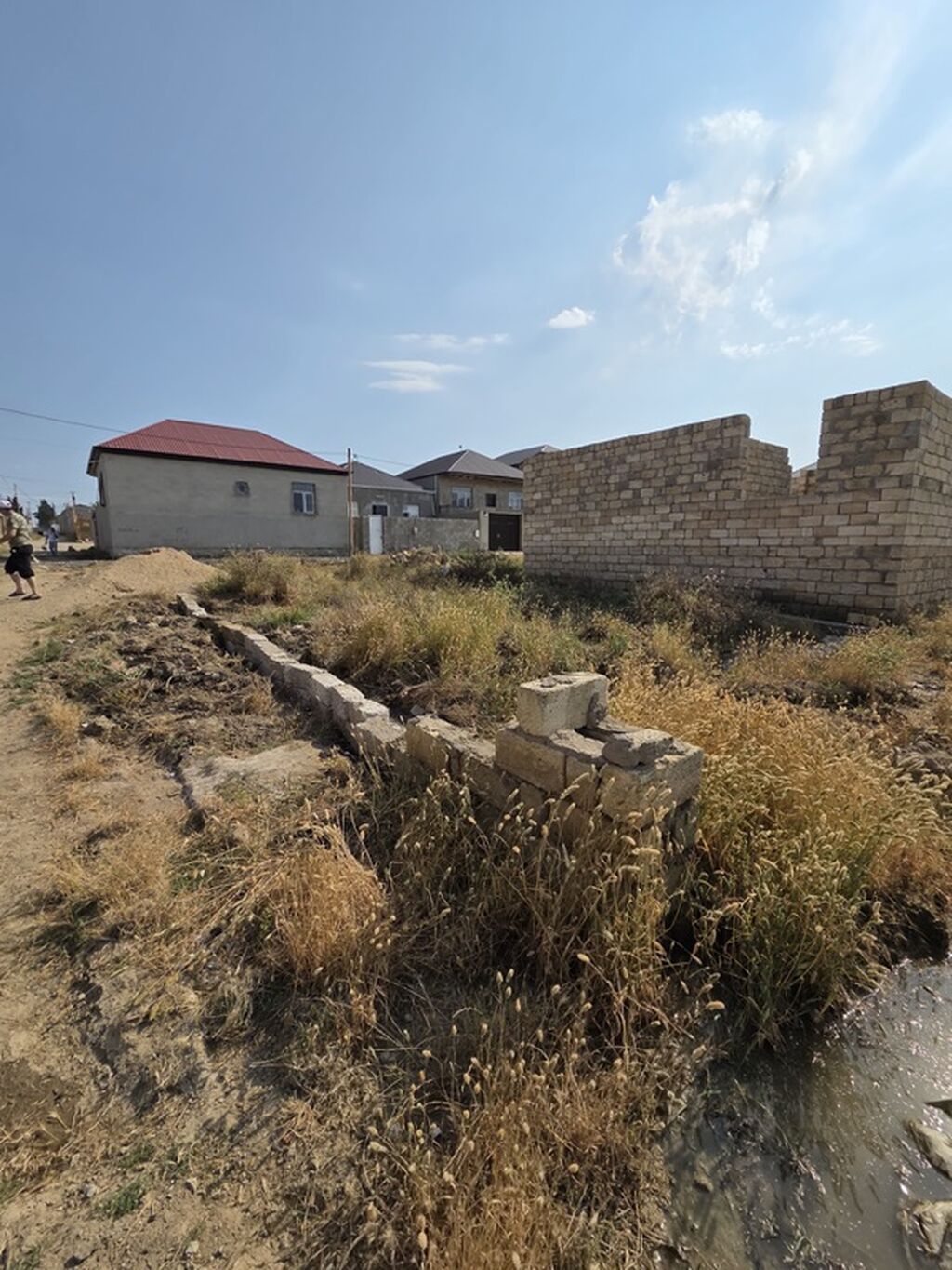 Tikinti
