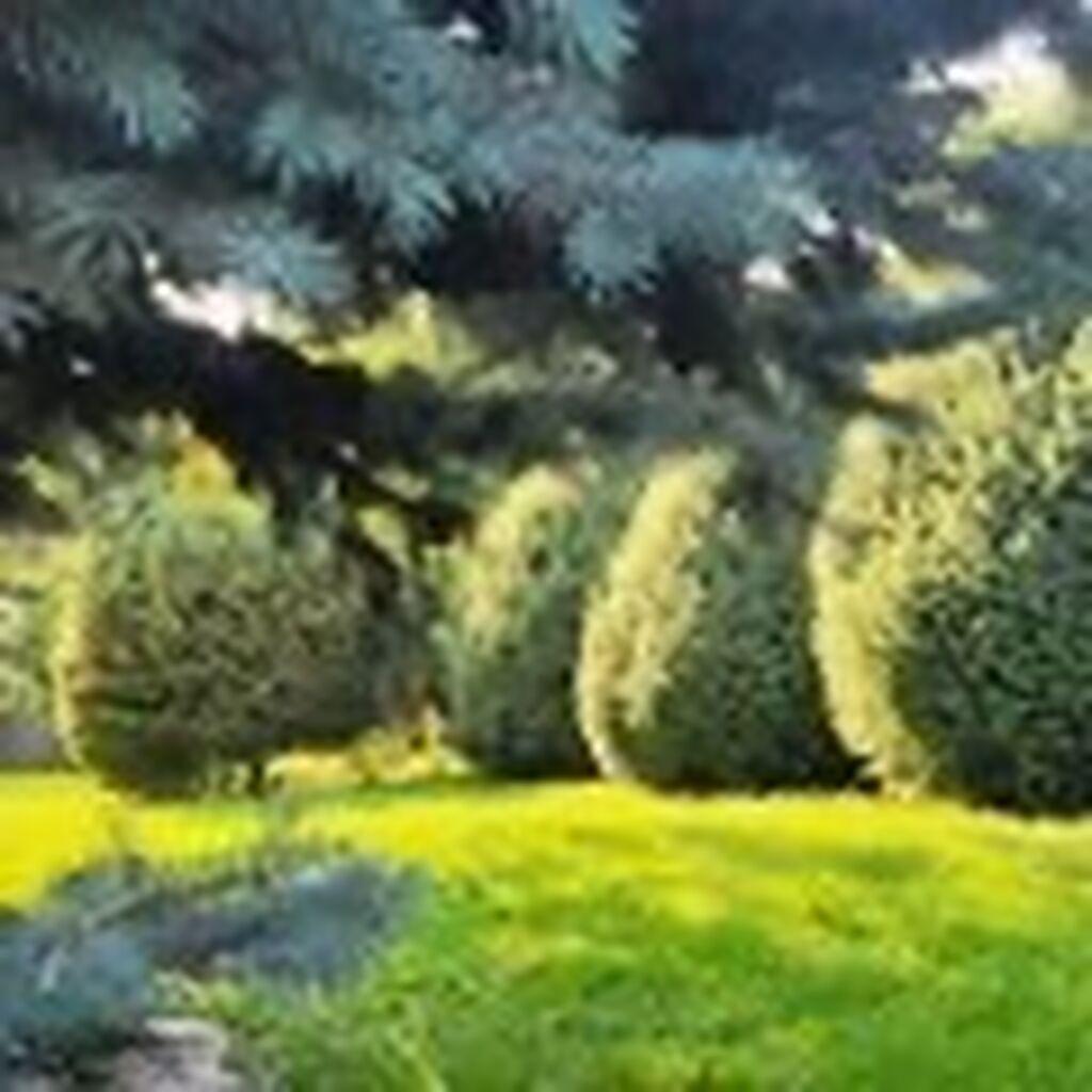 230 м², 4 комнаты, Мадина: фото 6